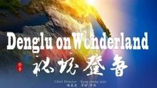 挂金灯怎么煎汤?-机智问答-专业智能问答平台